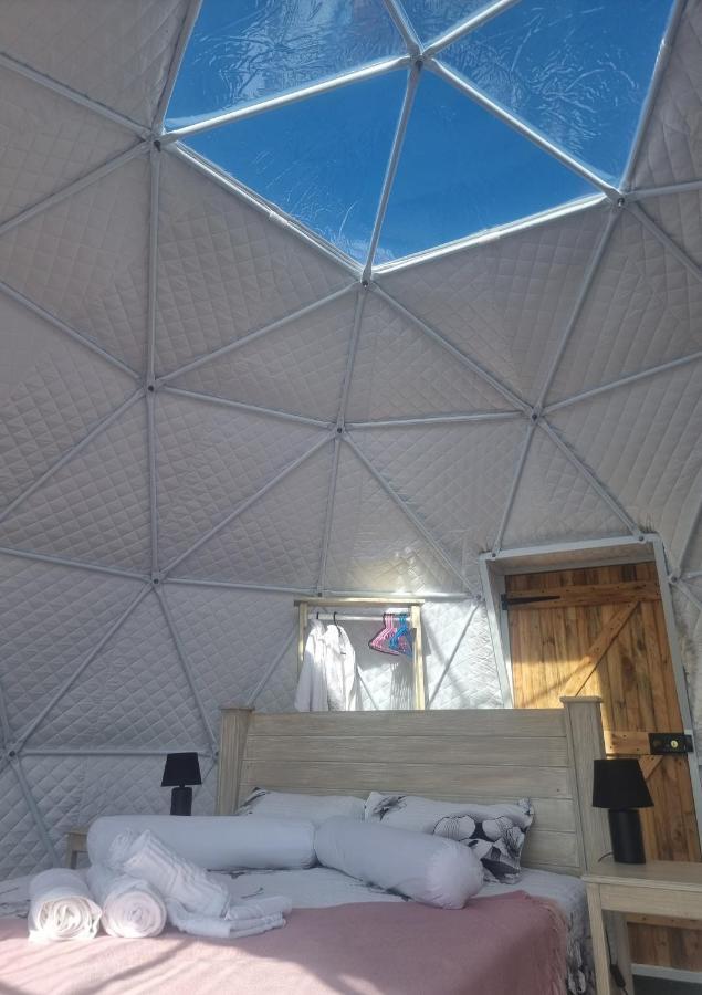 Pom Gratz - Ecodomes Hotel Hartebeesrivier Exterior photo