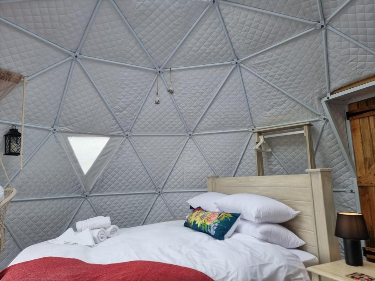Pom Gratz - Ecodomes Hotel Hartebeesrivier Exterior photo