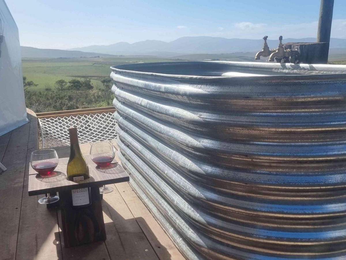 Pom Gratz - Ecodomes Hotel Hartebeesrivier Exterior photo