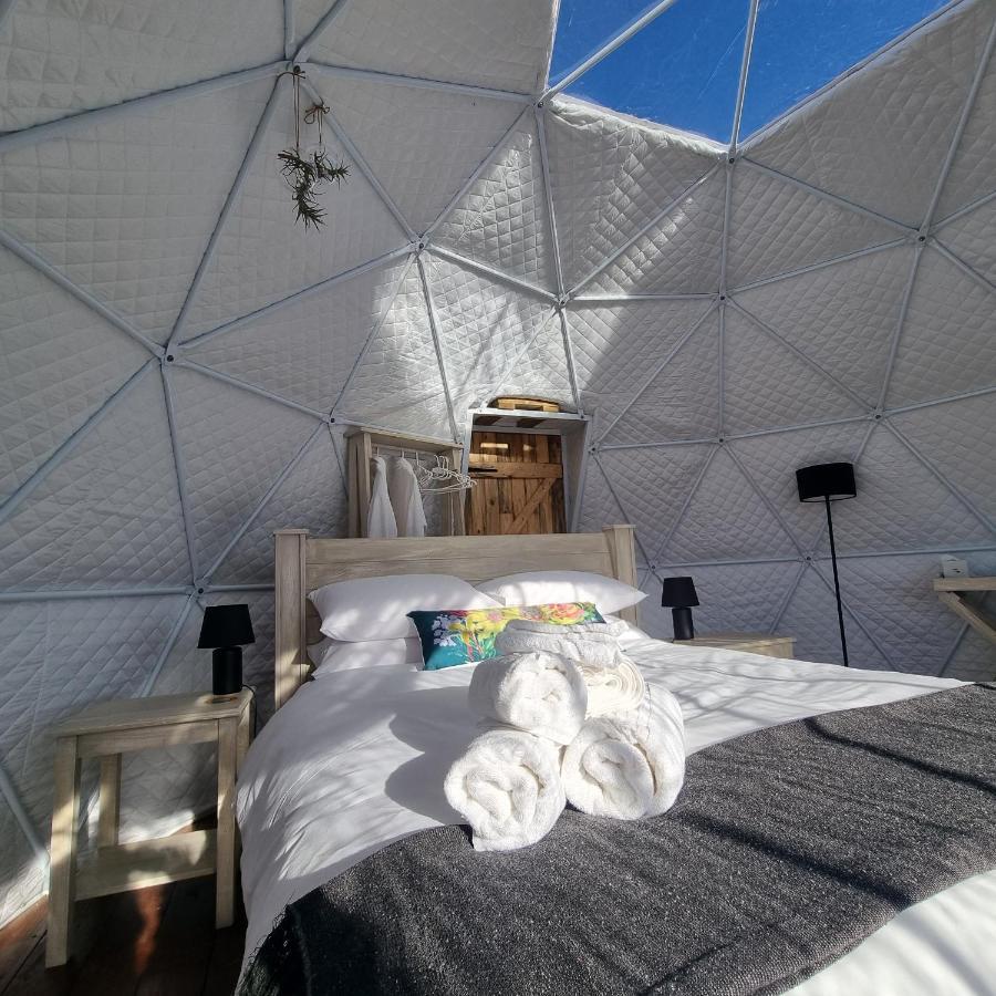 Pom Gratz - Ecodomes Hotel Hartebeesrivier Exterior photo